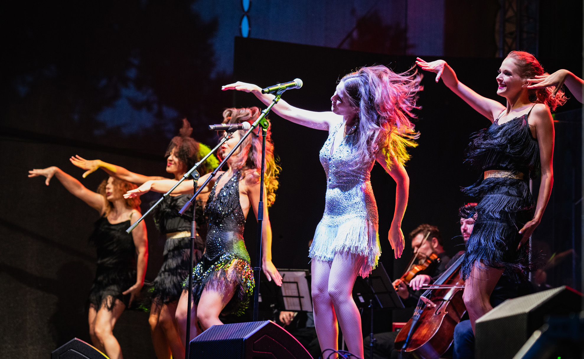 koncert_fotoreport (17)